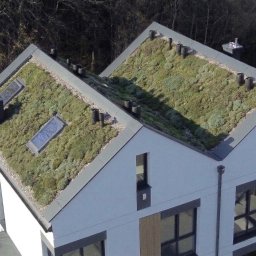 Dachowe Love - Nowoczesny dom z dachem pokrytym zielenią, widok z góry. Dach z oknami dachowymi i systemem odprowadzania wody. Biała elewacja budynku z ciemnymi obramowaniami okien.