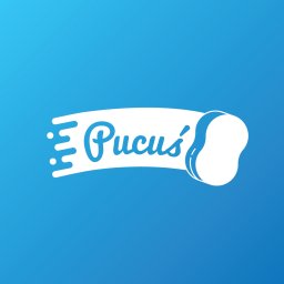 Pucuś - Ekipa Sprzątająca Wałbrzych