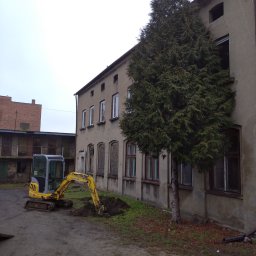 Krystian Mik - Żółto-szara mini-koparka New Holland przy starej, szarej kamienicy z zabitymi oknami, obok rosnąca tuja, świeżo wykopana dziura w ziemi.