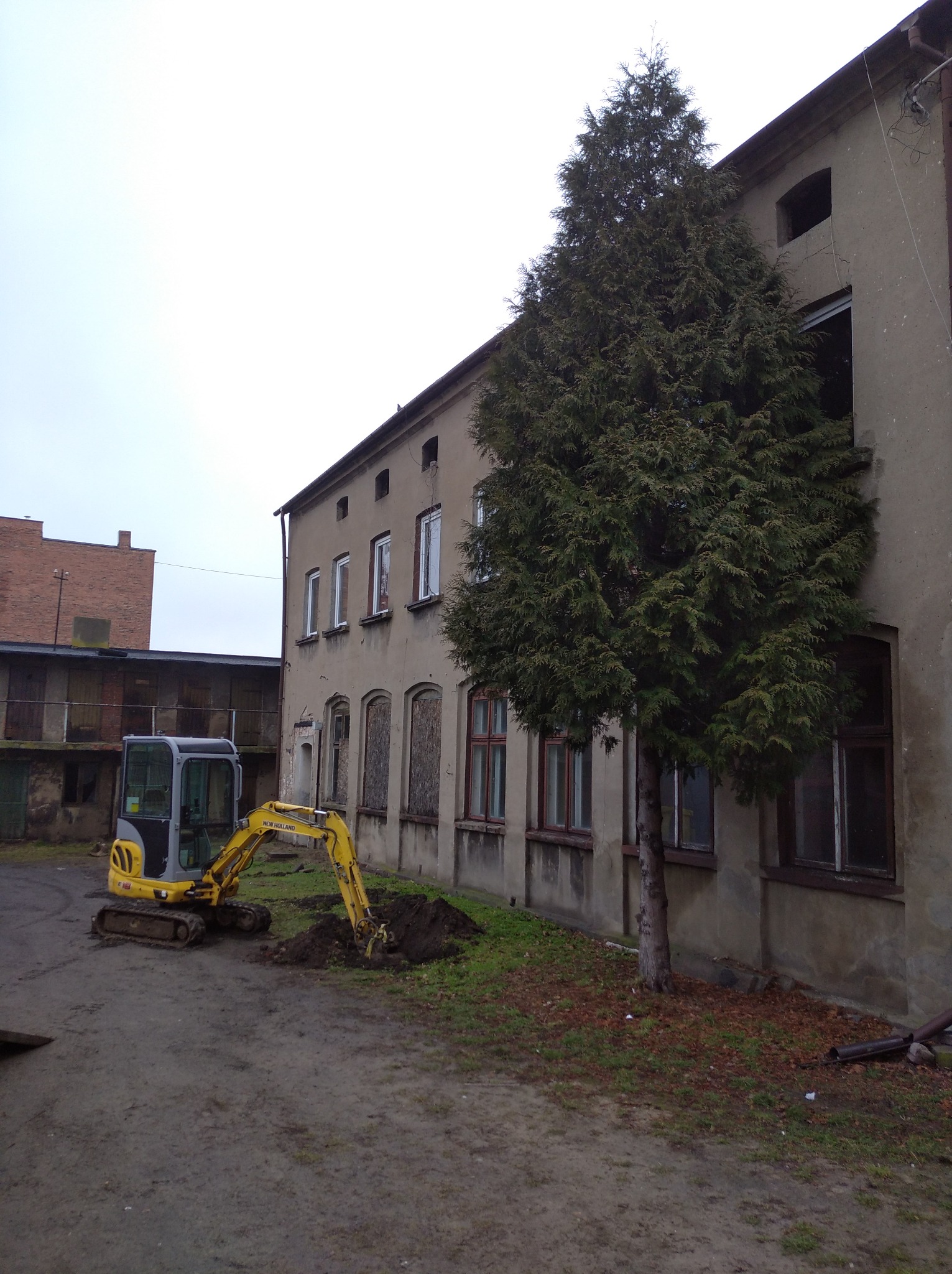 Żółto-szara mini-koparka New Holland przy starej, szarej kamienicy z zabitymi oknami, obok rosnąca tuja, świeżo wykopana dziura w ziemi.