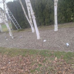 Pielęgnacja ogrodów Kurowice 1