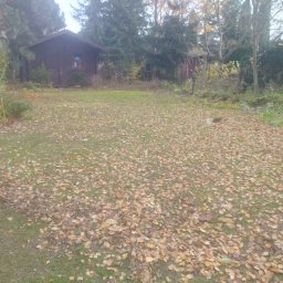 Pielęgnacja ogrodów Kurowice 3