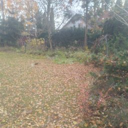 Pielęgnacja ogrodów Kurowice 4