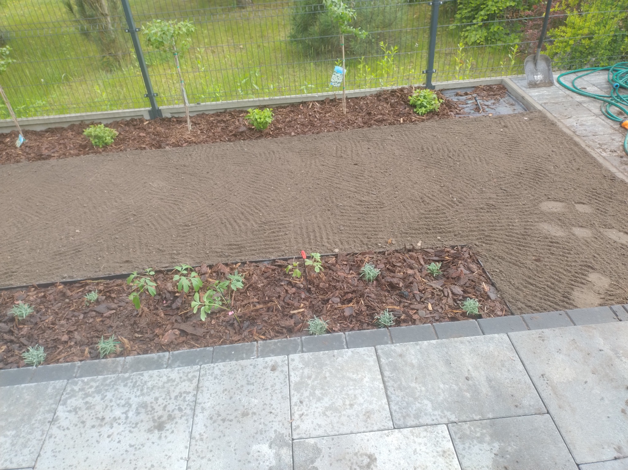 Przygotowany teren pod trawnik z nasadzeniami wzdłuż ogrodzenia i kostki brukowej. Widoczna szpadel, wąż ogrodowy i kora. Grządki z korą.
