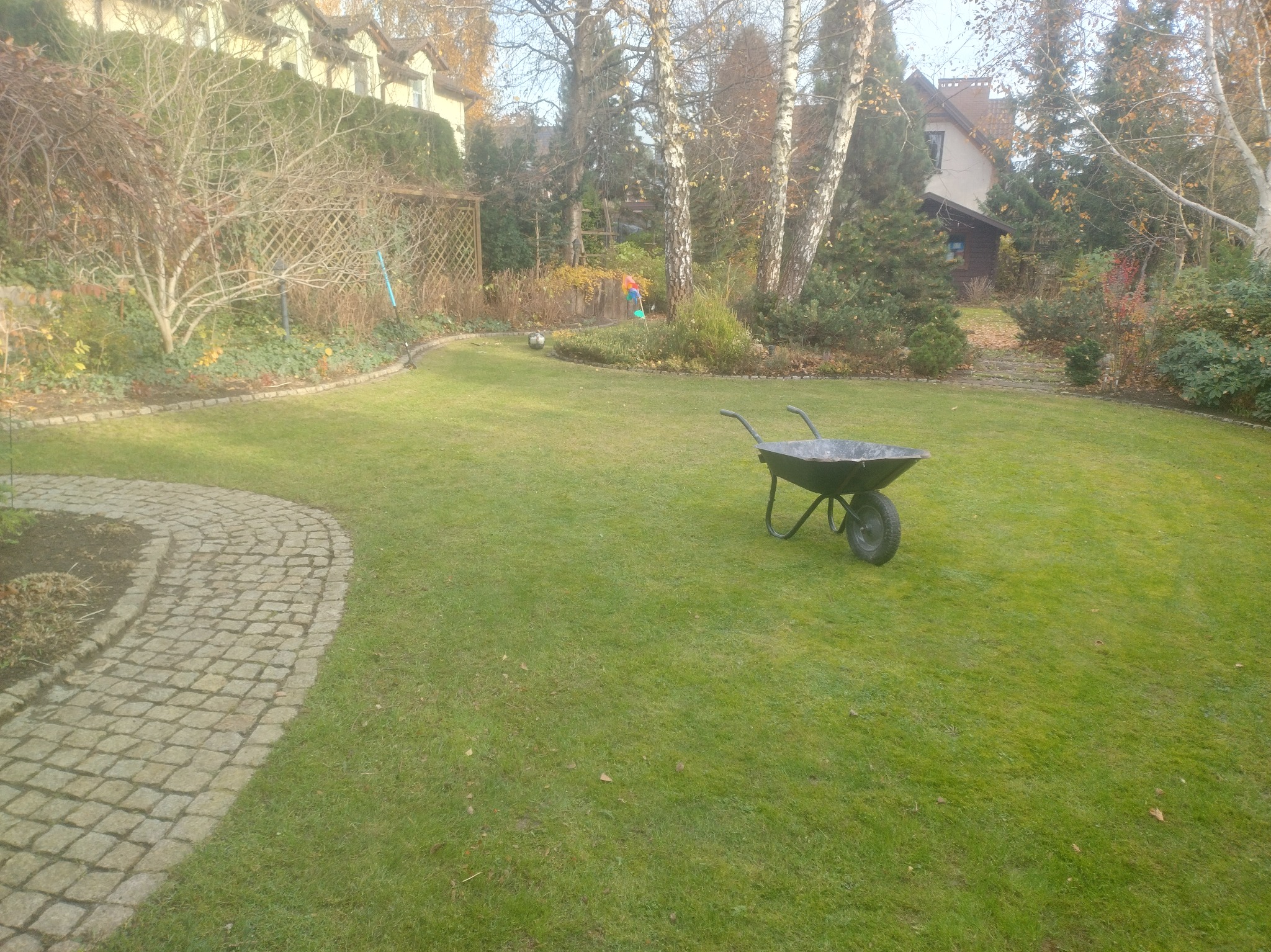 Jesienny ogród z równo skoszoną trawą i ścieżką z kostki. W tle drzewa i dom. Na trawniku stoi pusta taczka.