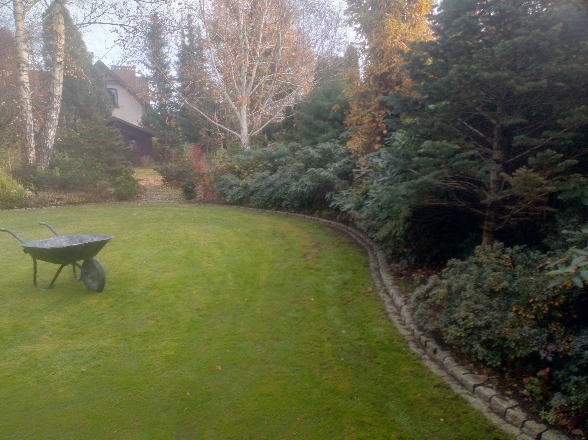 Zadbany trawnik z obrzeżem i taczką w ogrodzie. W tle drzewa i dom. Widok na równo skoszoną trawę i estetyczne wykończenie rabat.