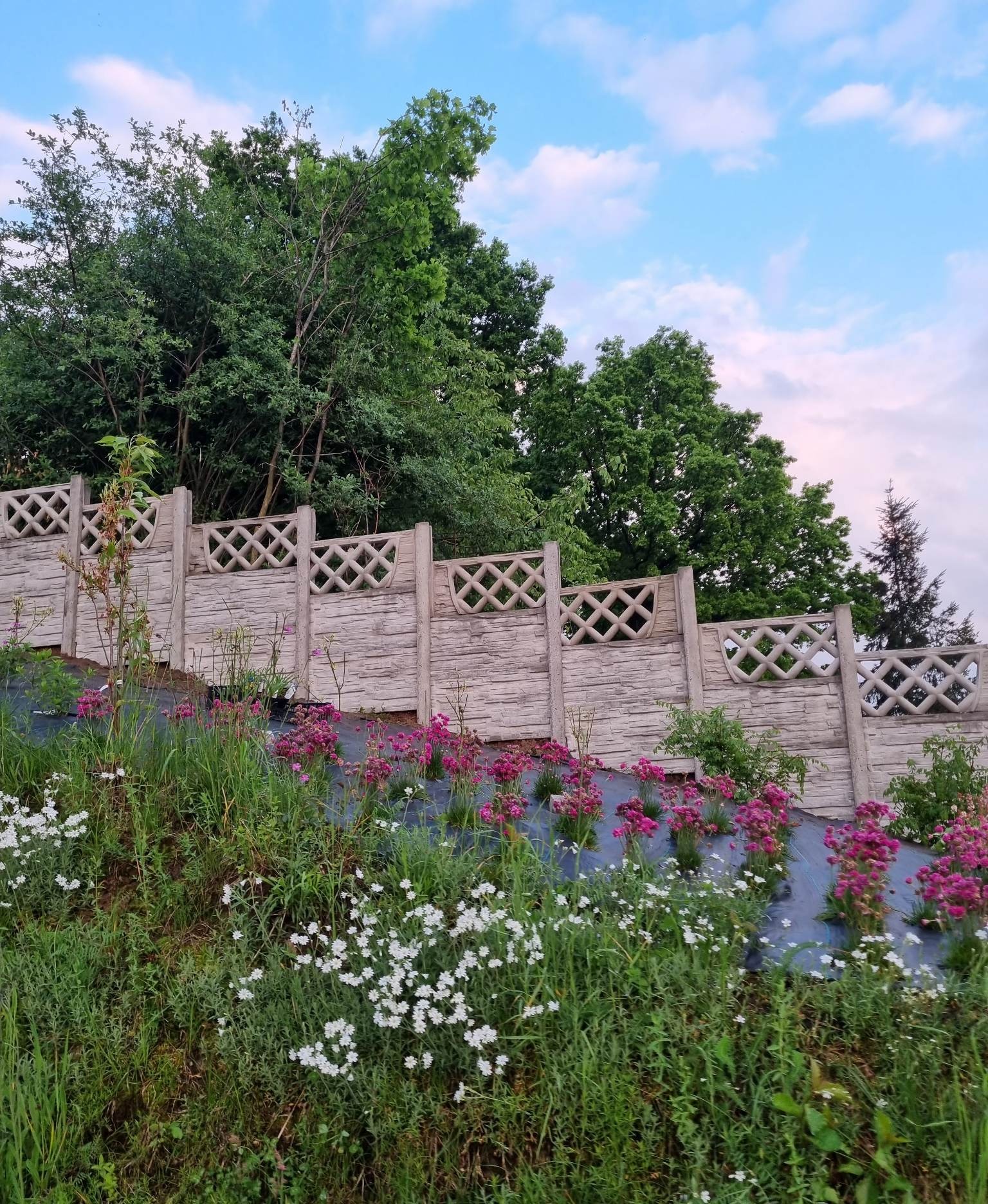 Ustawione na zboczu ozdobne ogrodzenie betonowe z romboidalnym wzorem, za którym widać drzewa i niebo. Na pierwszym planie kwitnące kwiaty.