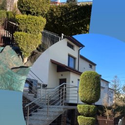 Pielęgnacja ogrodów Kraków 4