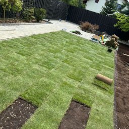 SzumiGarden - Układanie trawy z rolki w ogrodzie. Widoczne fragmenty darni, rolki trawy, przygotowane podłoże i narzędzia ogrodnicze. W tle dom i ogrodzenie.