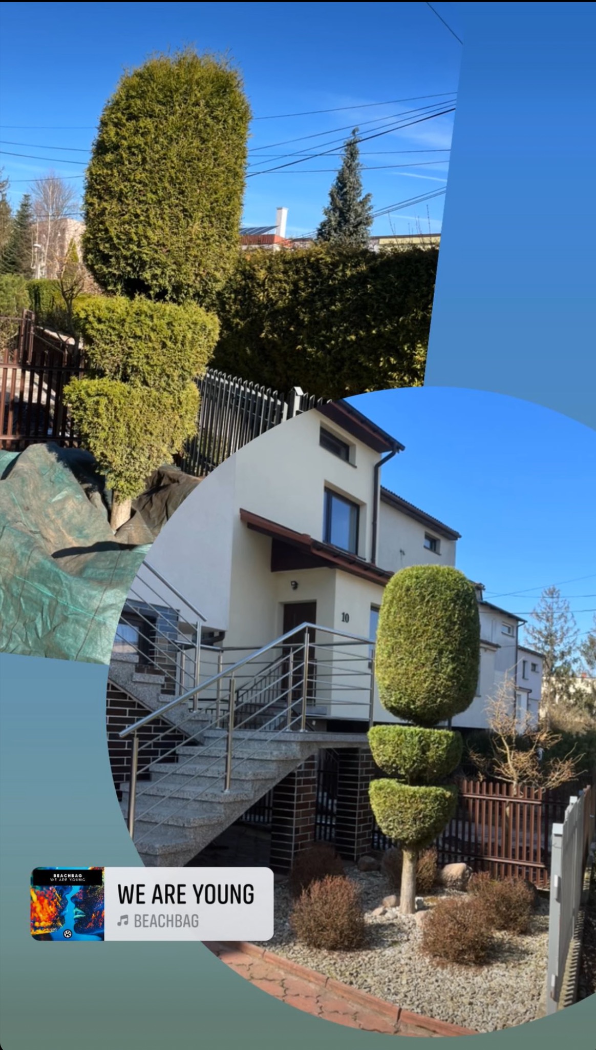 Formowane krzewy i drzewa iglaste w ogrodzie przed domem z metalowymi schodami. Dekoracyjne cięcie roślin, kształtowanie zieleni w przestrzeni przydomowej.