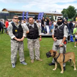 Trzech mężczyzn w mundurach ochronnych i kamizelkach taktycznych stoi na trawie z psem w kagańcu na tle tłumu ludzi i budynku.