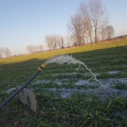 Strumień wody z węża podlewa pole uprawne, w tle widoczne drzewa bez liści i błękitne niebo.