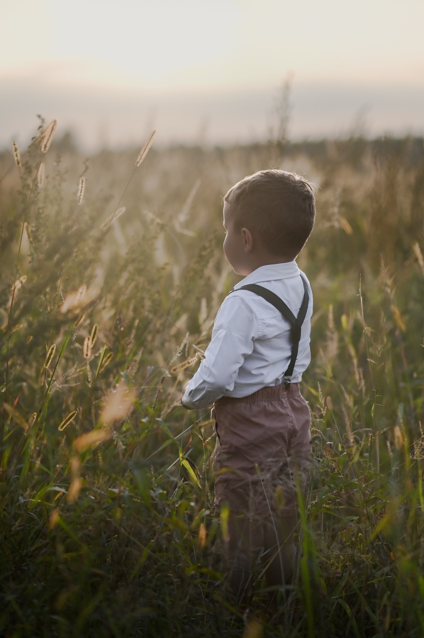 Chłopiec w białej koszuli i szelkach, stojący tyłem w wysokiej trawie w miękkim, zachodzącym słońcu, z lekkim rozmyciem tła.