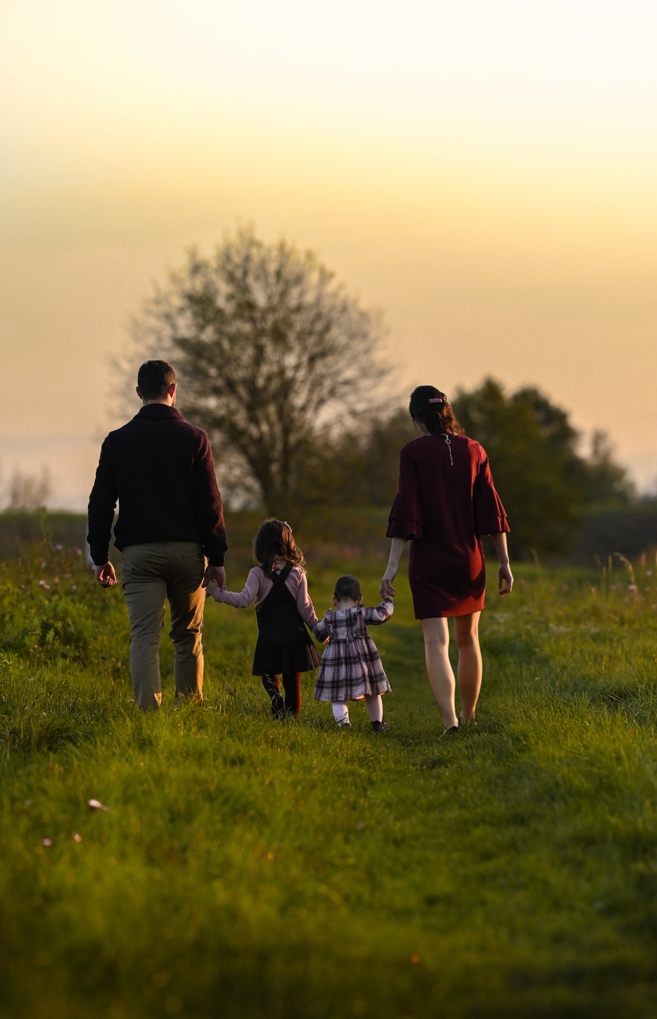 Rodzina z dwójką dzieci spaceruje po łące o zachodzie słońca, trzymając się za ręce, widok z tyłu.