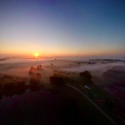 Sesja ciążowa Poznań 2