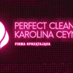 Karolina Ceynowa Perfect Clean - Czyszczenie Okien Puck