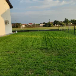 Świeżo założony trawnik z rolki przy nowoczesnym domu, widoczne ślady po wałowaniu, w tle ogrodzenie i budynki mieszkalne.