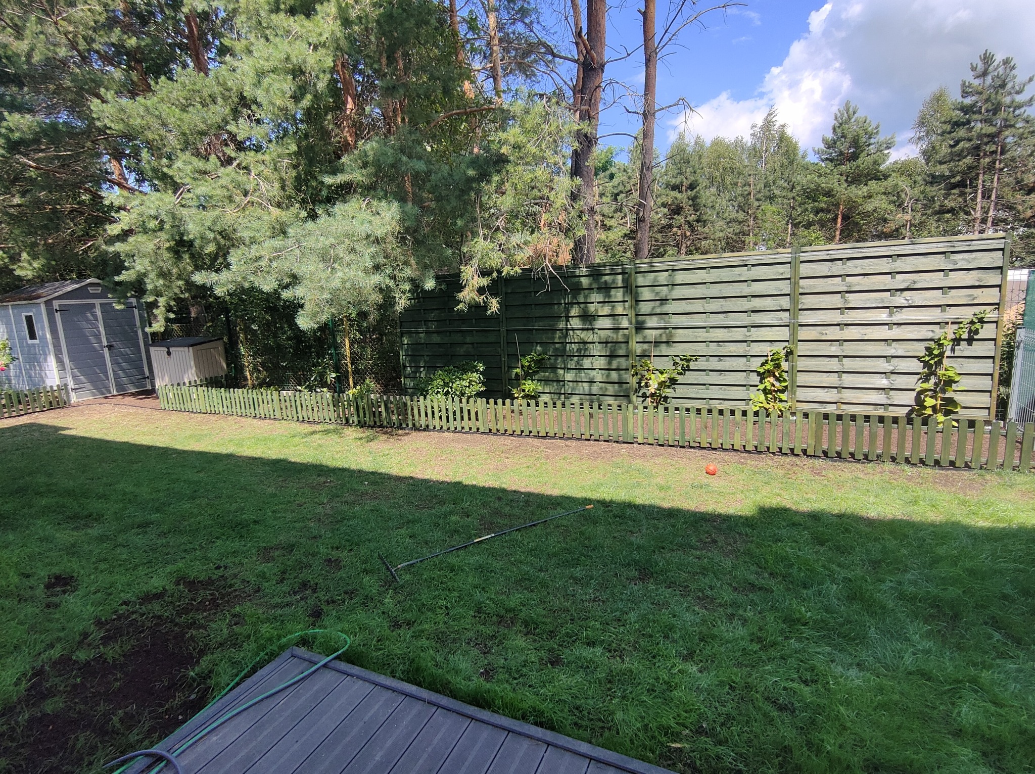 Zielony ogród z świeżo założonym trawnikiem, widoczny grabie, mała piłka i drewniany płot oddzielający od lasu.