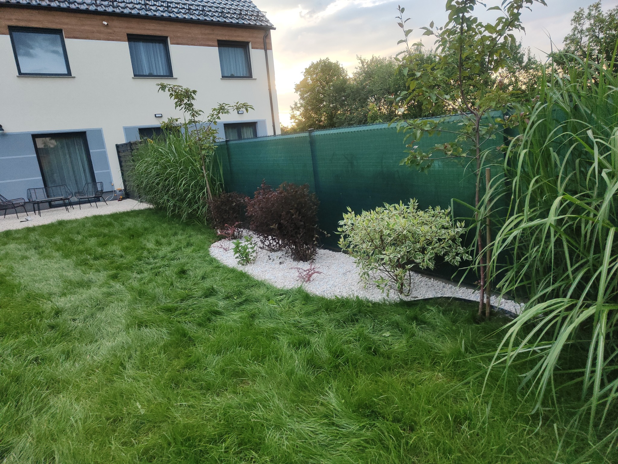 Świeżo założony trawnik z rabatą wysypaną białym grysem, ozdobne krzewy i trawy, zielony płot w tle, dom z szarymi oknami.