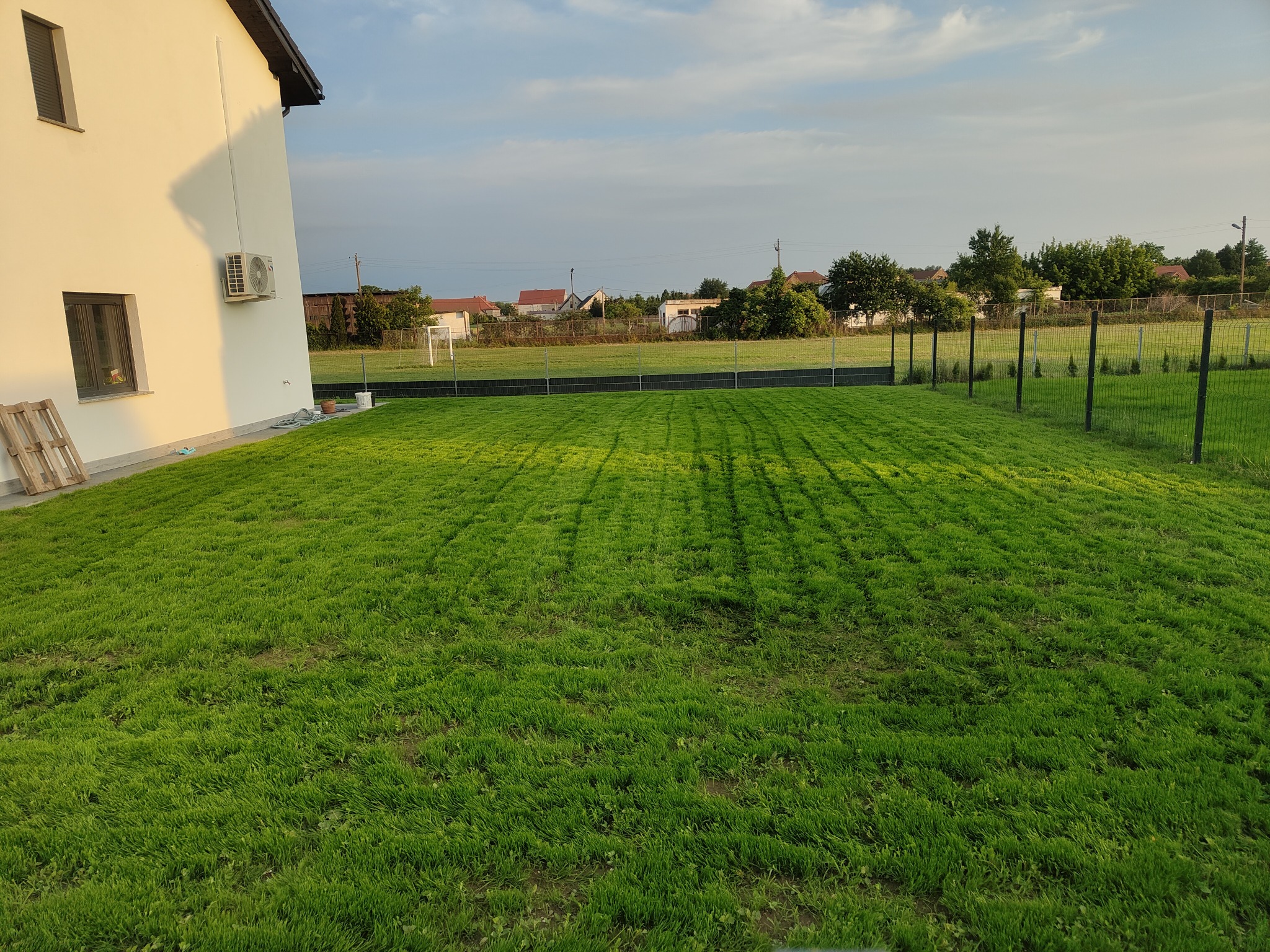 Świeżo założony trawnik z rolki przy nowoczesnym domu, widoczne ślady po wałowaniu, w tle ogrodzenie i budynki mieszkalne.