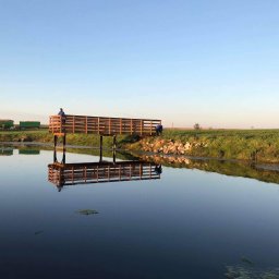 Kolonie, obozy Strzeczona 1