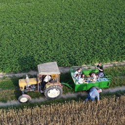 Kolonie, obozy Strzeczona 4