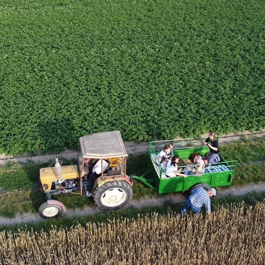 Żółty traktor z przyczepą wypełnioną dziećmi, jadący polną drogą obok pola uprawnego, widok z góry.