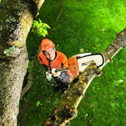 Usługi Ogrodnicze - Nasadzanie Drzew Zambrów