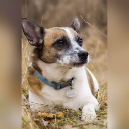 Sesja ciążowa Zabrze 2