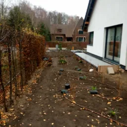 Przygotowany teren pod nasadzenia w ogrodzie z systemem nawadniania, widoczne młode rośliny, obrzeża z kostki i brązowe liście na ziemi.