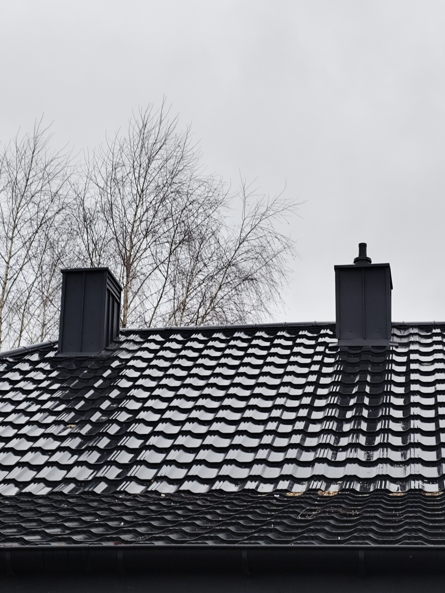Czarny dach z blachodachówki z dwoma kominami na tle bezlistnych drzew i pochmurnego nieba. Widok z dołu, podkreślający regularny wzór pokrycia dachowego.