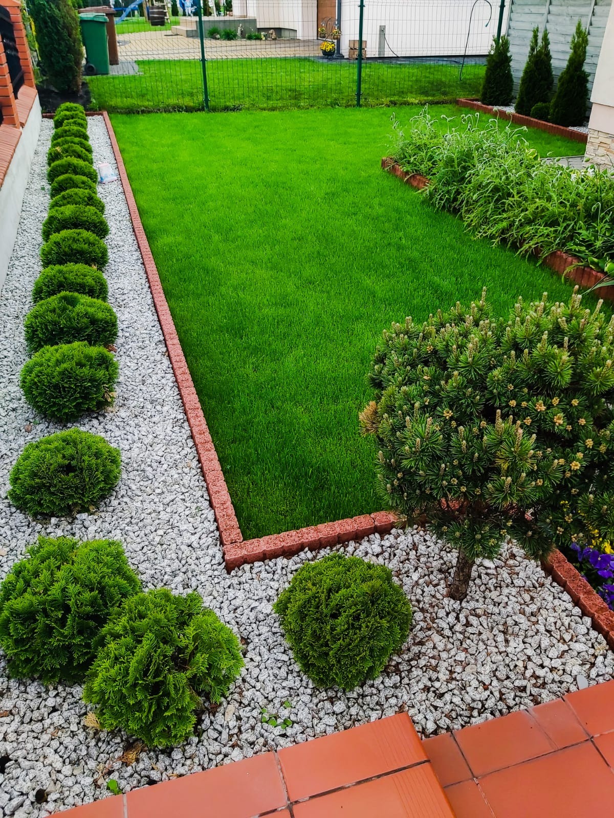 Zadbany trawnik z równo przystrzyżoną trawą, obrzeżami z cegły i ozdobnymi krzewami kulistymi wysypanymi białym grysem, widok z góry.