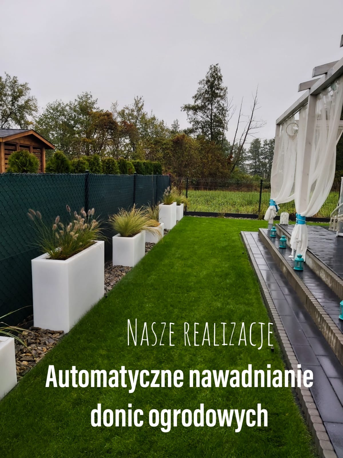 Ogród z równo przystrzyżonym trawnikiem, białymi donicami z ozdobnymi trawami wzdłuż ciemnozielonego ogrodzenia z siatki, oraz zadaszeniem z białymi zasłonami.