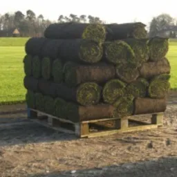 Paleta z rolkami trawy, widoczne warstwy darni i zielona trawa, tło z drzewami i polem.