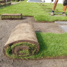 Nawadnianie zakładanie trawnika ogrody - Najlepsza Firma Ogrodnicza Grudziądz