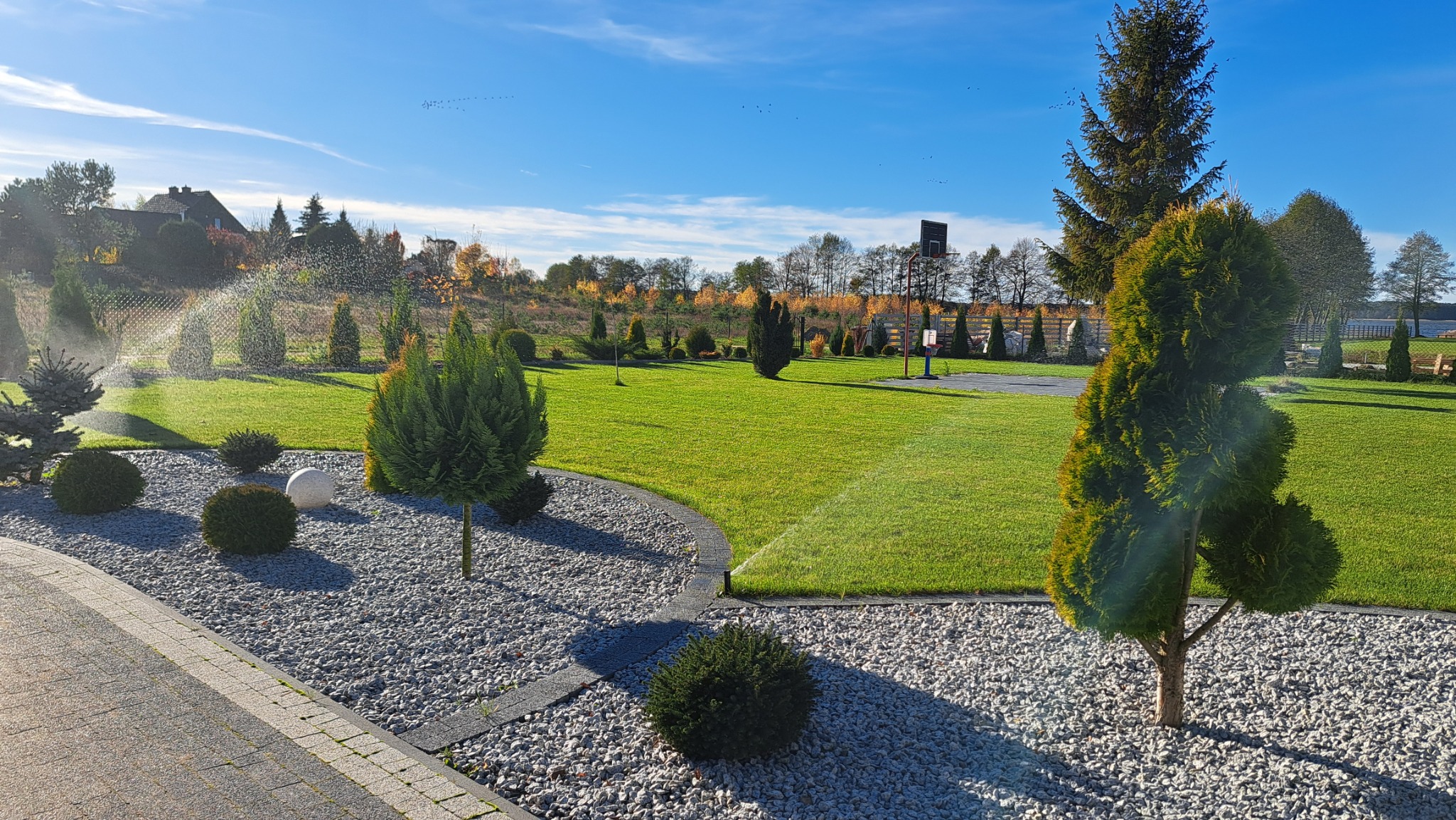 Ujęcie z poziomu gruntu na zadbany trawnik z automatycznym systemem nawadniania w trakcie pracy, otoczony ozdobnymi krzewami i kamieniami, z widocznym domem w tle.