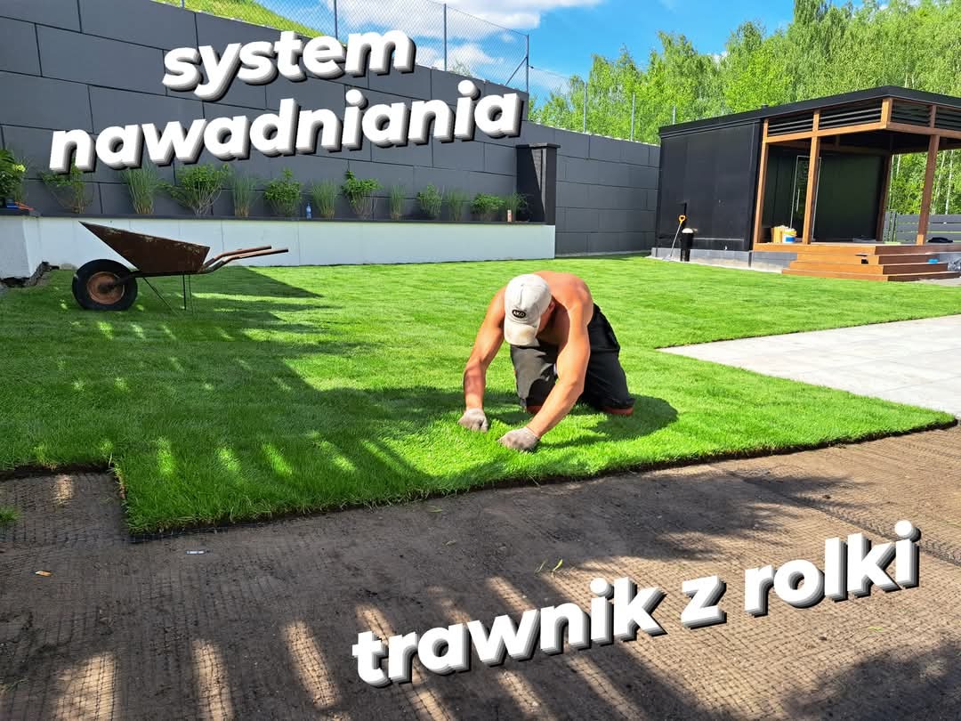 Układanie trawy z rolki na przygotowanym podłożu, widoczny fragment ułożonego trawnika, w tle nowoczesna altana i system nawadniania.