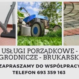 Kompozycja trzech zdjęć: odkurzacz wodny na dywanie, kosiarka do trawy w trawie oraz fragment chodnika z kostki brukowej.