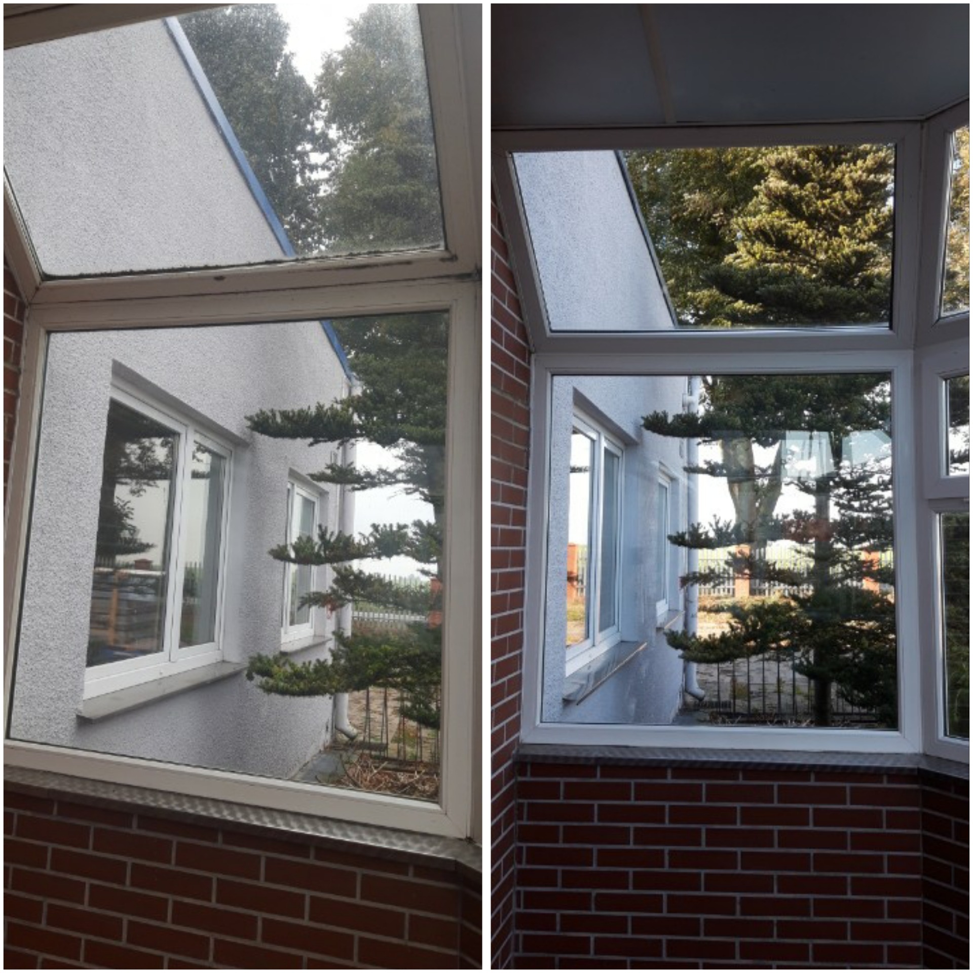 Dwa ujęcia okien po umyciu, z wyraźną różnicą w czystości szyb i ram okiennych, widok na zewnątrz z drzewami i budynkiem.