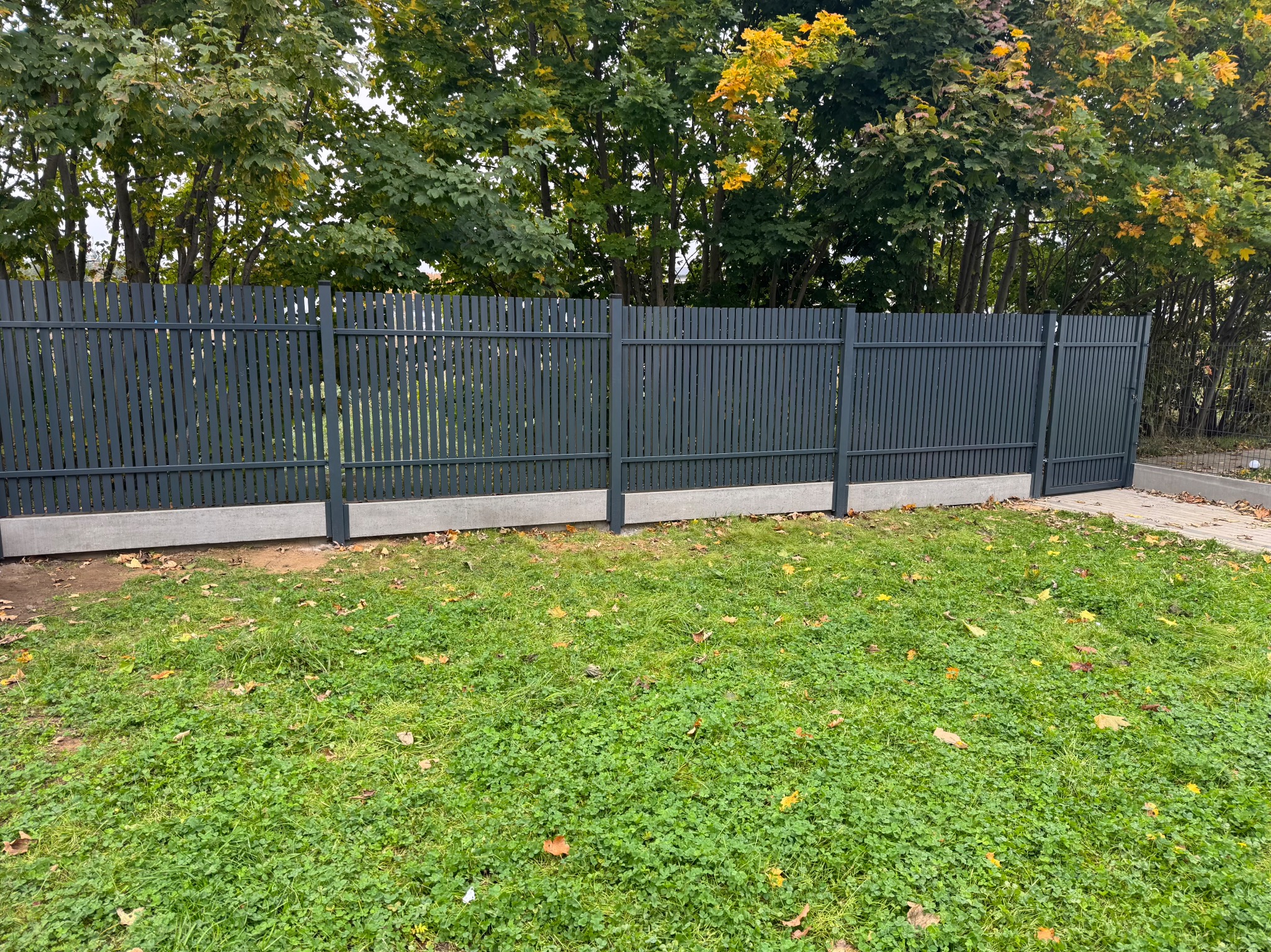 Grafitowe ogrodzenie panelowe z betonową podmurówką na tle zieleni i drzew z żółknącymi liśćmi, widziane z poziomu trawnika. Brama po prawej stronie.