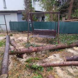 HI-LIFT Patryk Bieniaszewski - Świeżo ścięte pnie drzew leżące na trawie obok huśtawki ogrodowej, w tle zielony płot i budynek mieszkalny w pochmurny dzień.