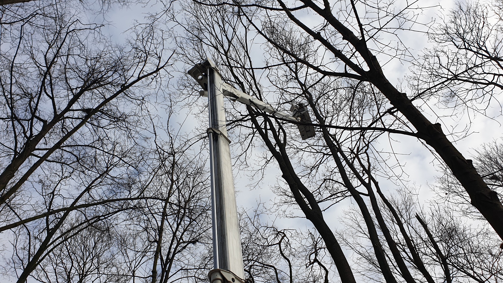 Wysięgnik podnośnika koszowego wśród nagich gałęzi drzew na tle pochmurnego nieba, prawdopodobnie podczas wycinki lub przycinania drzew.