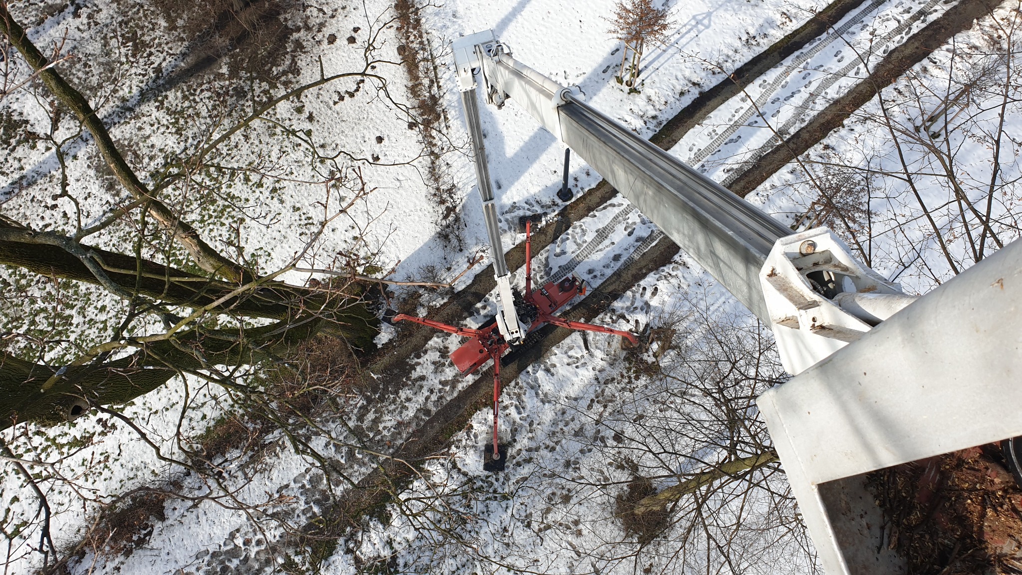 Widok z góry na podnośnik koszowy z wysięgnikiem wśród ośnieżonych drzew i gruntu, ślady opon i butów na śniegu.
