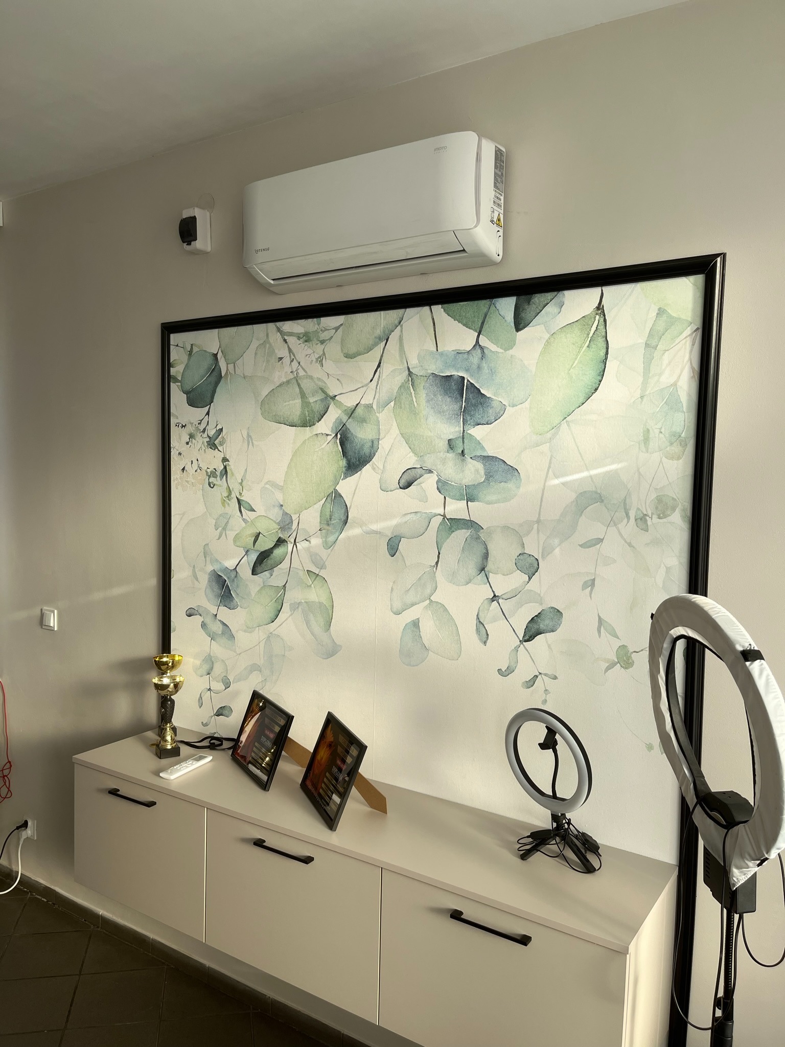Biały klimatyzator ścienny zamontowany w pokoju nad szafką, na której stoją dwie oprawione dyplomy i lampy pierścieniowe, ściana ozdobiona obrazem z motywem liści.