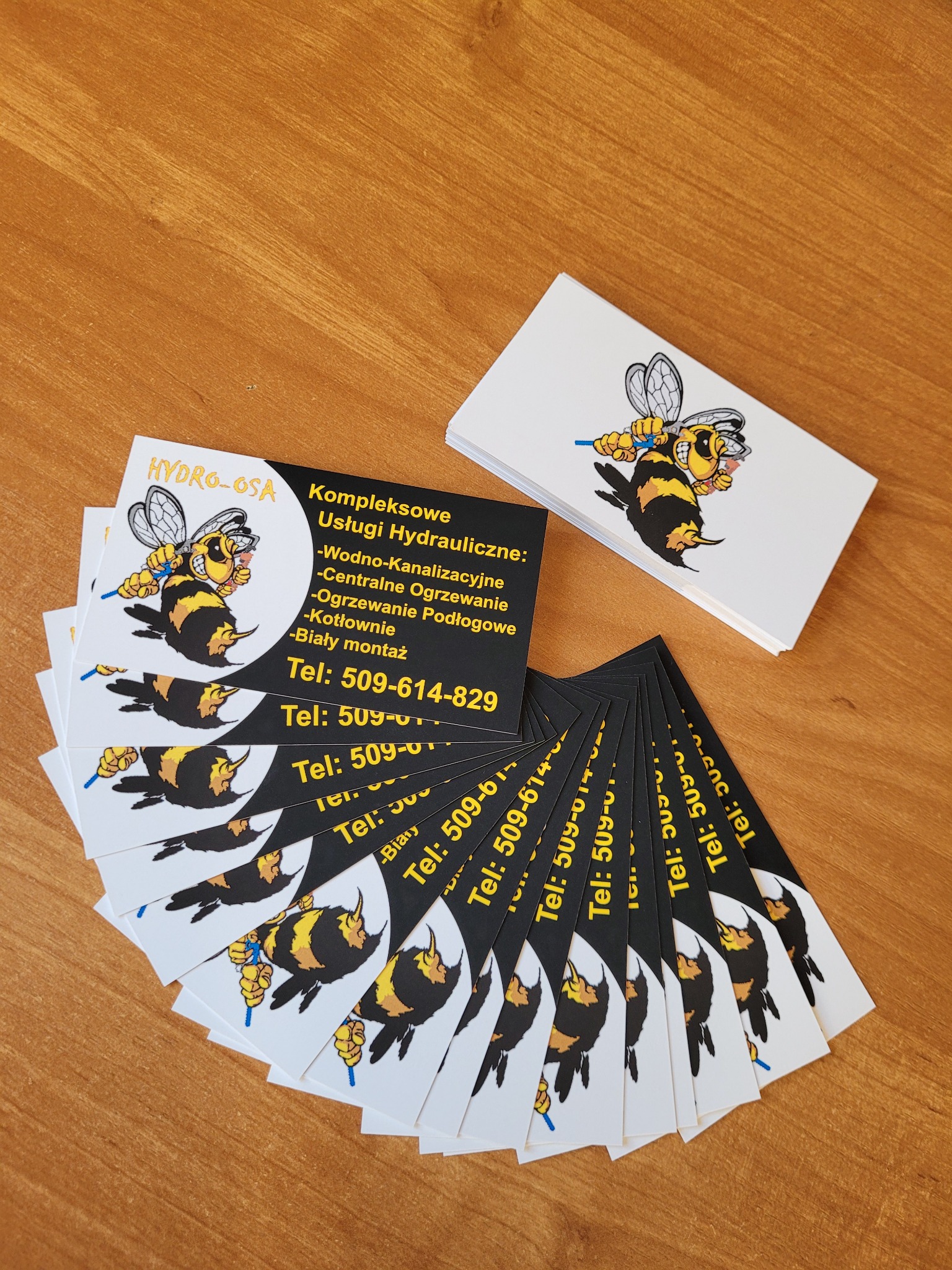 Wizytówki firmy hydraulicznej Hydro-Osa z charakterystycznym logo pszczoły trzymającej klucz francuski, ułożone wachlarzowo na drewnianym blacie, obok stosik wizytówek.