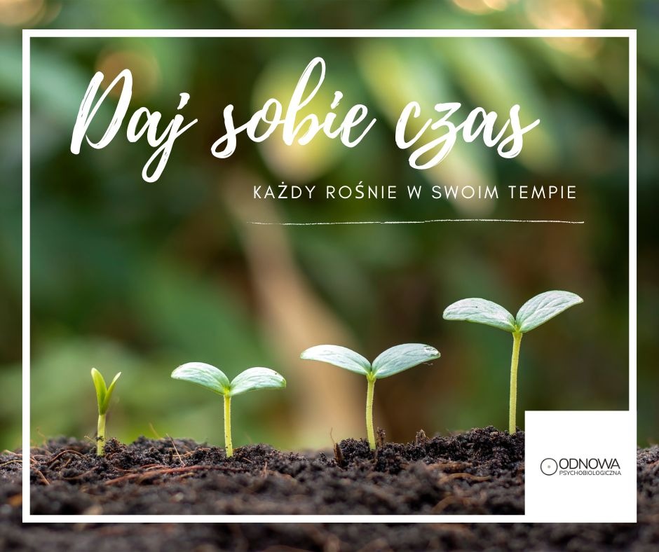 Cztery sadzonki w różnym stadium wzrostu na tle zieleni, z hasłem 'Daj sobie czas. Każdy rośnie w swoim tempie' i logo Odnowa Psychologiczna w prawym dolnym rogu.