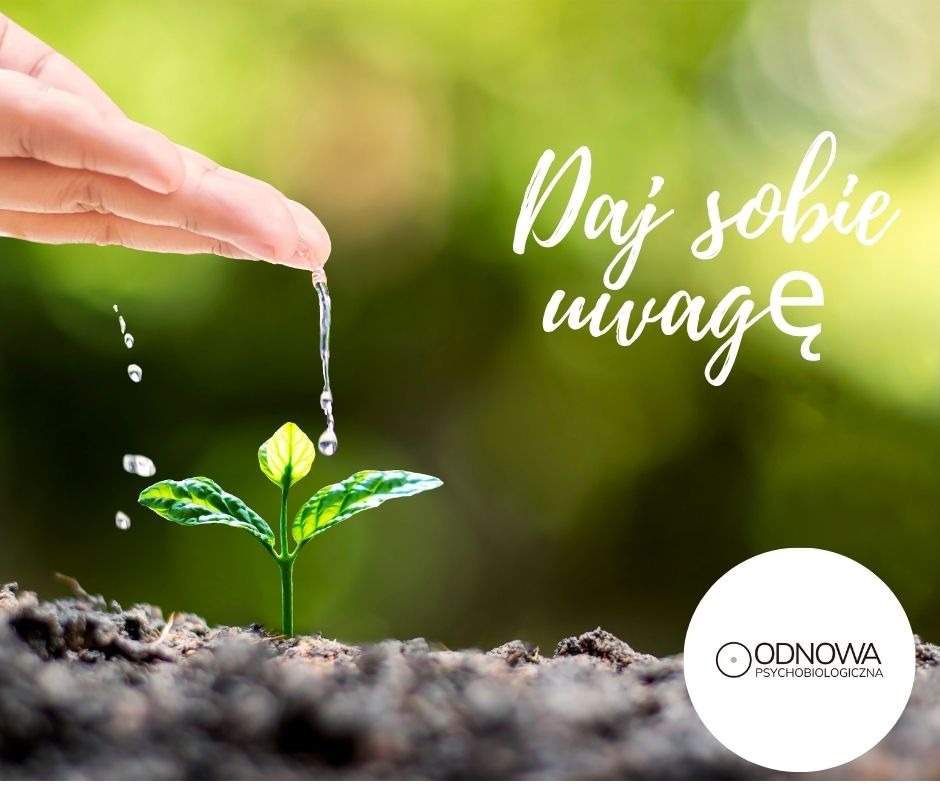 Podlewanie sadzonki z napisem 'Daj sobie uwagę' i logo 'Odnowa Psychobiologiczna'. Symbol troski o siebie i rozwoju osobistego.
