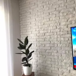 Ściana z białej cegły dekoracyjnej, z telewizorem po prawej stronie i roślinami doniczkowymi w lewym dolnym rogu, oświetlona naturalnym światłem z okna z białymi zasłonami.