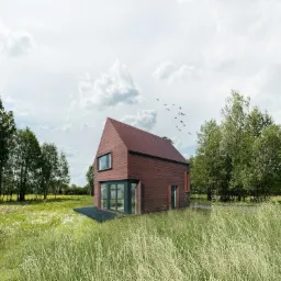 Wizualizacja nowoczesnego domu z ciemnego drewna z jednospadowym dachem, otoczonego łąką i drzewami, na tle pochmurnego nieba z kluczem ptaków.
