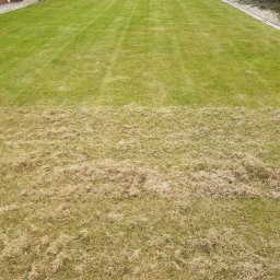 Zakładanie trawników Świdnica